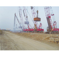 f_l(f)^(q)X6K؏(qing)